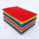 彩色百潔布－10片裝